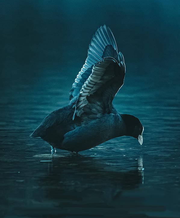 photography3-slider-pic3.jpg